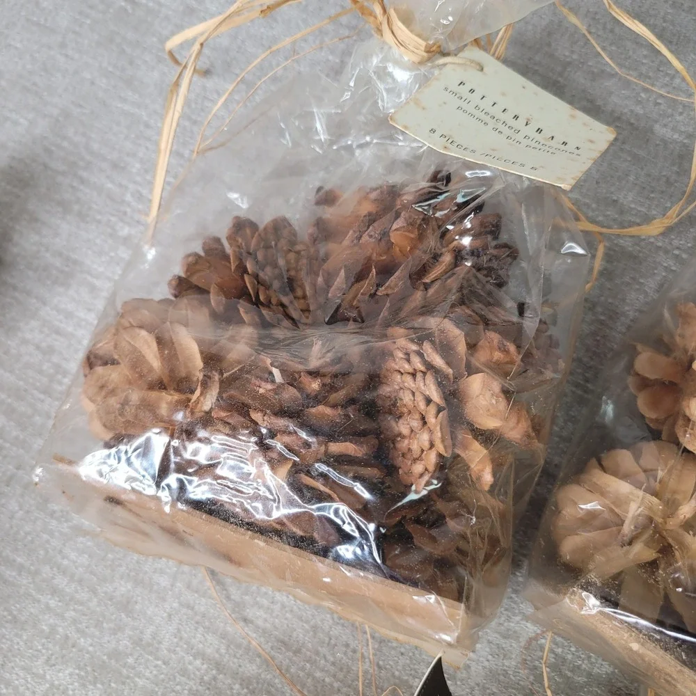 Pottery Barn Small Bleached Pinecones 5 Bags Decorative Bowl or Vase Filler NEW